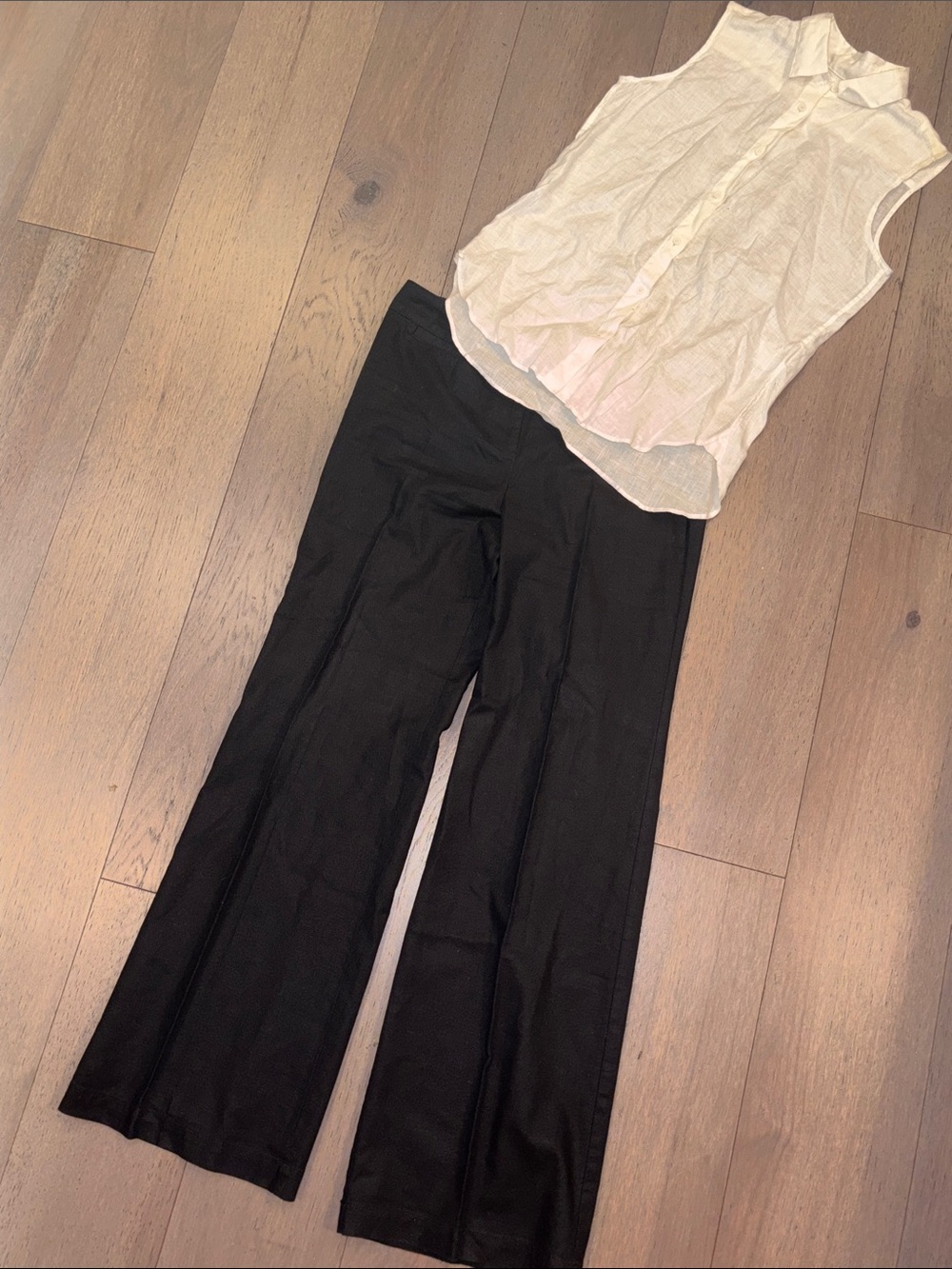 New York & Company Black Wide-Leg Trousers and button down top